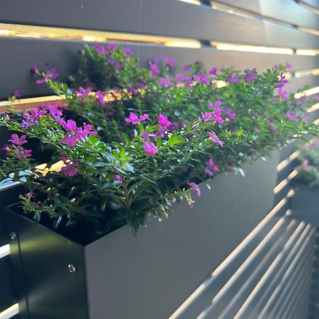 Ferienwohnung Olli Koch Reken 외부 사진